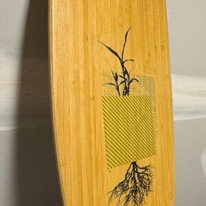 Loaded Pintail Bamboo Fiberglass Longboard